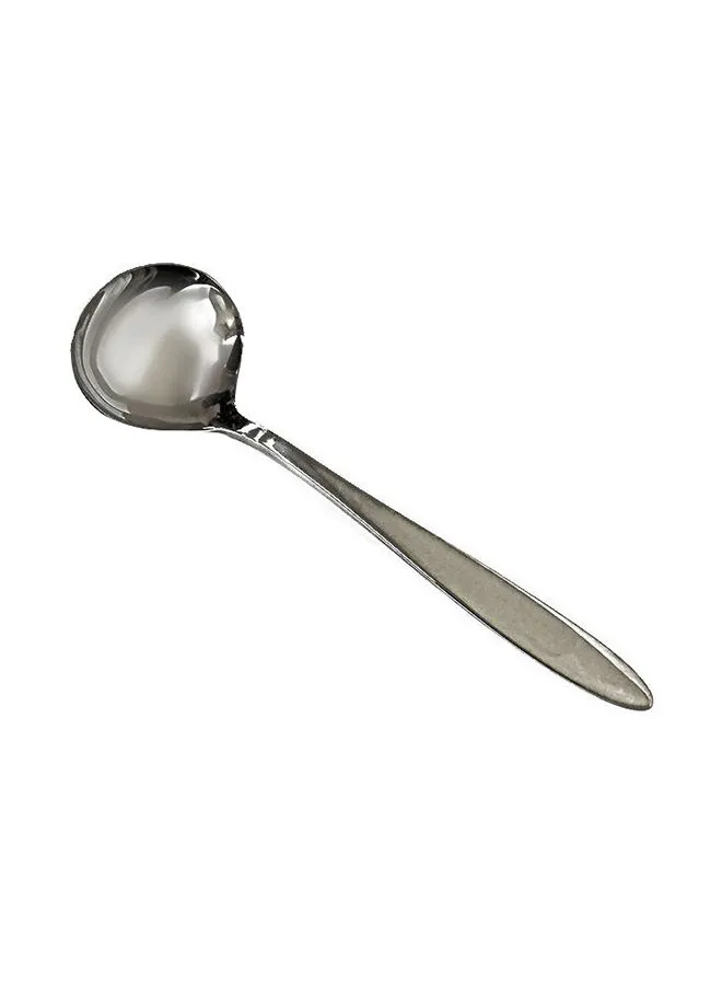 Winsor Stainless Steel Soup Ladle Silver