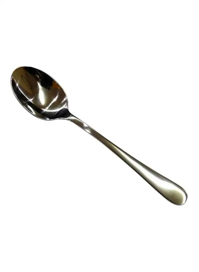 Winsor Fellini Table Spoon Silver 13cm