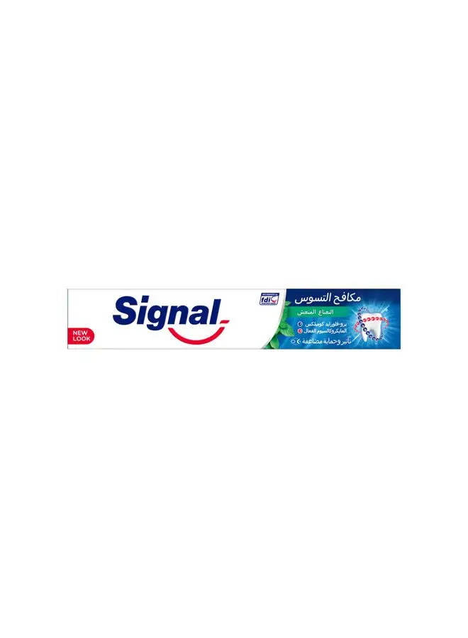 Signal Signal Toothpaste Cavity Fighter With Fresh Mint 120ml