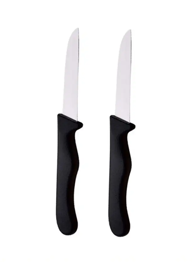 BERGNER 2-Piece Fruit Knife Set Black/Silver 18.5cm 