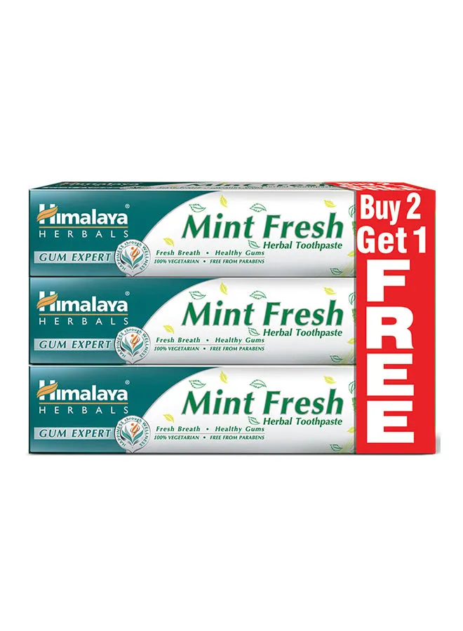 Himalaya Mint Fresh Herbal Toothpaste 100ml Pack of 3