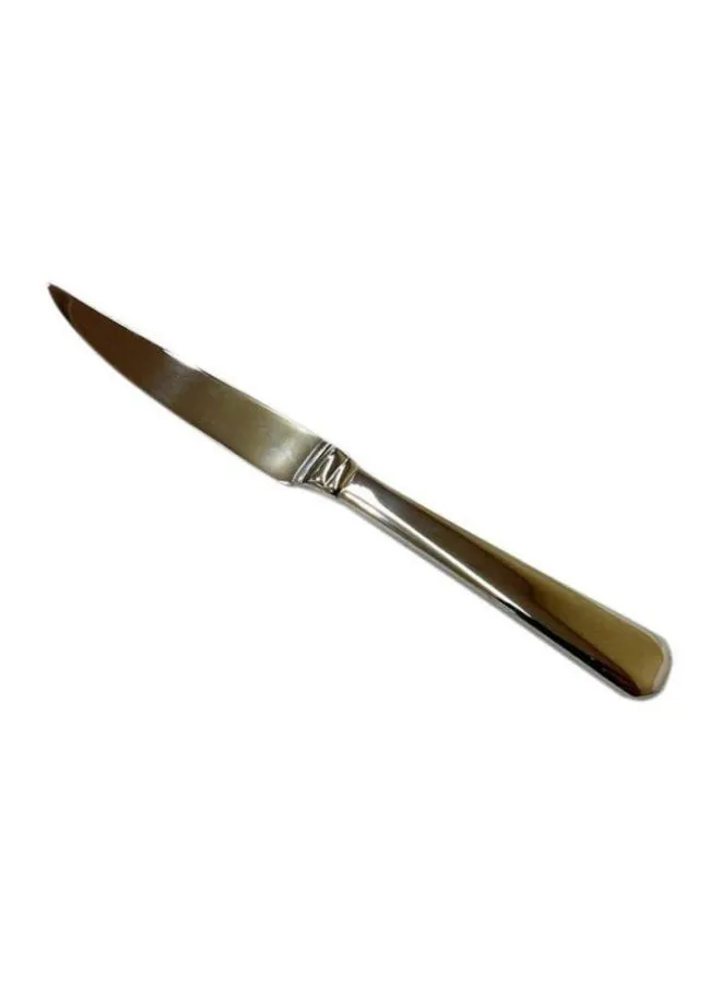 Winsor Stainless Steel Steak Knife Pilla Silver