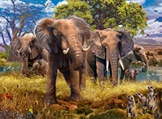 لعبة Ravensburger Puzzle_Elephant Family 500 Pc