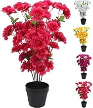 Dubai Garden Centre Artificial Flower Plant, 15 cm Height, Mix Colour