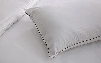 Hotel Linen Klub DEYARCO Princess Microfiber Stripe Pillow with Single Piping-Filling : 900grms Hollow Silicon, Size: 50 x 75cm, White