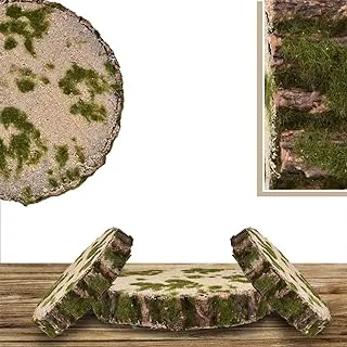 YATAI Fairy Garden & Terrarium Decorative Mossy Tree Stump Display Riser Cover for Yard, Landscape, Garden (5X21)