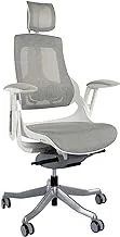 Robotto 609 High Back Ergonomic Mesh Chair White-Silver