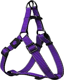 DOCO® Martini Bean Harness (DCS205) Color - Purple, Sizes - XS