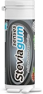 Ginjer Steviagum Anise Flavor Chewing Gum 30 g