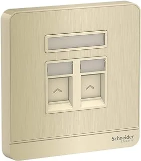 Schneider Electric AvatarOn, 2 Gang, Wall Plate, Gold hairline, E8332RJS_GH