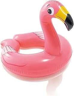 Intex Swim Ring