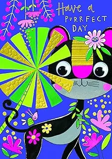 Ginger Ray Rachel Ellen Designs Take A Walk Purrfect Day Birthday Card