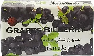 Alchimia Grapes and Bilberry Vegetal Soap 100 g