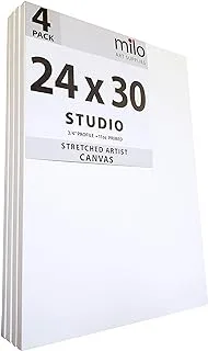 BPA Stretched Artist Canvas24x30 inches4 Pack3/4” inch Thick Studio Profile11 oz Primed Large Canvases for Painting, Ready to Paint Art Supplies for Acrylic, Oil, Mixed Media