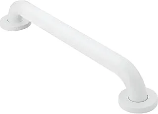 Moen R8716W Home Care 16-Inch Concealed Screw Bath Safety Bathroom Grab Bar, Glacier