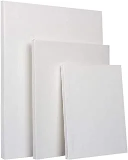 BPA Canvas Panels Multi Pack, 20x30 cm, 30x40cm, 40x40,Professional Primed White Blank Canvas- 100% Cotton Artist Canvas Boards for Painting, Acrylic Paint, Oil Paint Dry & Wet Art Media