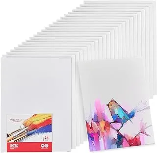 BPA Canvas Panels 24 Pack - 9