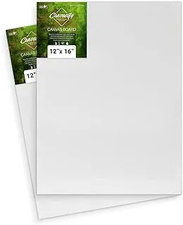 BPA Artist Medium Grain Primed Cotton Canvas Board, Panel for Painting 12