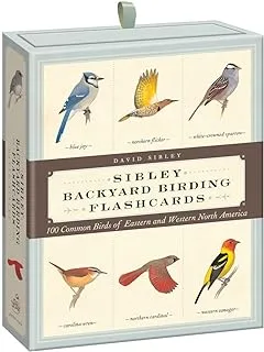 Sibley Backyard Birding Flashcards: 100 Common Birds of Eastern and Western North America