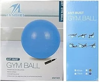 TA Sport IR87070 Anti Burst Gym Ball with Foot Pump, 65 cm Diameter