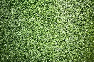 Artificial Grass Carpet Green For Home Outdoor Front/Backyards Garden Decoration - Artificial Grass (3.5mm thikness, Green) (200x400cm) 310