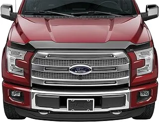 WeatherTech Low Profile Aerodynamic Hood Protector for 2009 Plus Dodge Ram 1500, Black, 55045