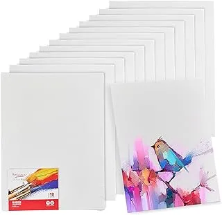 BPA Canvas Panels 12 Pack - 12