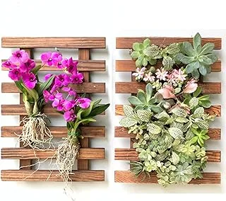 Wall Planter – 2 Pack Hanging Planter for Indoor Plants, Air Plant Succulent Holder, Outdoor Vertical Garden, Wooden Orchid Planter for Wall Decor, Room Decor for Teens