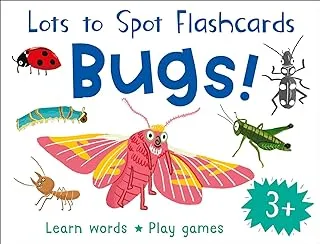 Lots to Spot Flashcards: Bugs!