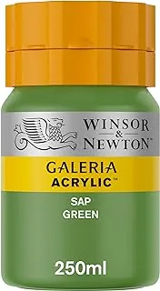 Winsor & Newton Galeria Acrylic Sap Green 250ml,tub with even consistency, non-fading, high coverage, rich in colour pigments