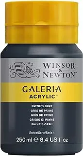 Winsor & Newton Galeria Acrylic Payne's Gray 250ml,tub with even consistency, non-fading, high coverage, rich in colour pigments