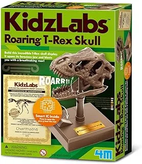 4M KidzLabs-Roaring Build a T-Rex Skull-Science and Activity kit for Kids Ages 8+, Multi Coloured