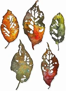 Sizzix Thinlits Die Set 5PK Leaf Fragments by Tim Holtz, 665559