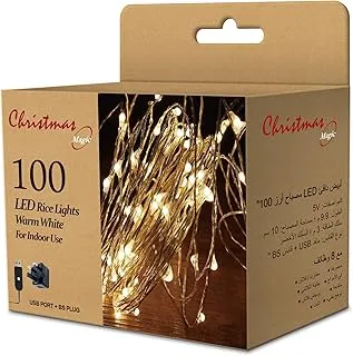 100 LED Rice Lights Warm White