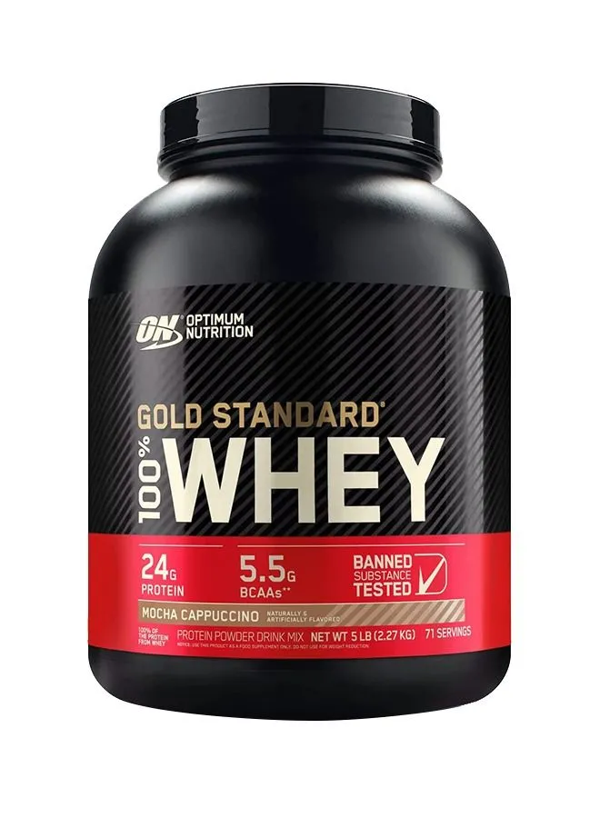 Optimum Nutrition Gold Standard 100% Whey Protein Powder Primary Source Isolate, 24 Grams of Protein for Muscle Support and Recovery - Mocha Cappuccino, 5 Lbs, 71 Servings (2.27 KG)