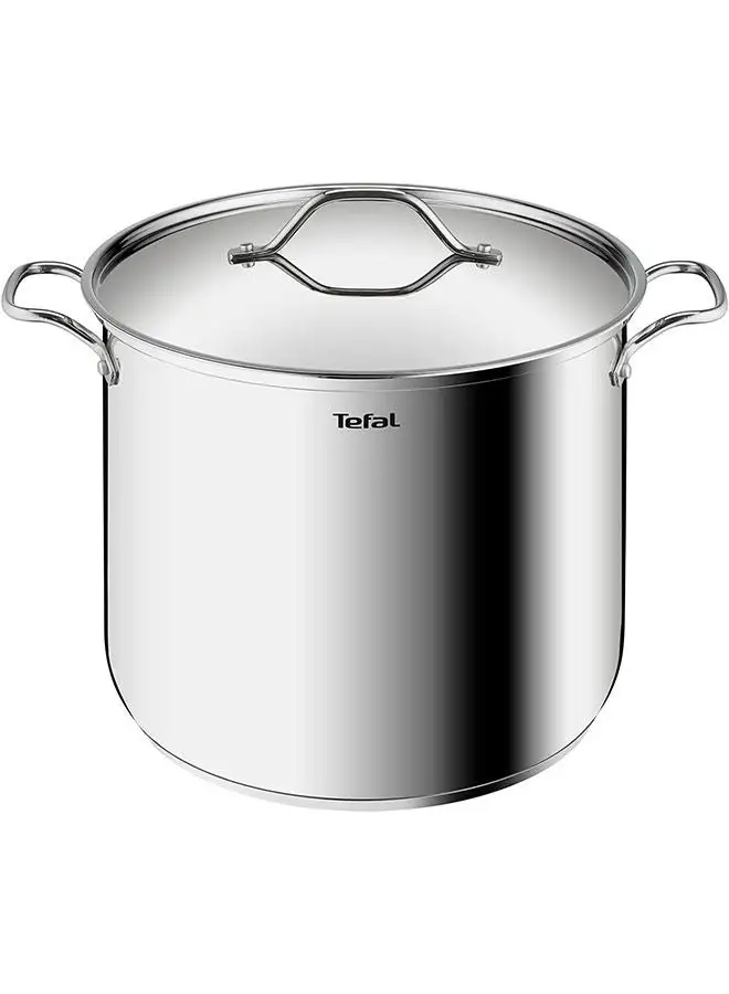 Tefal Intuition Stainless Steel Stockpot With Lid 28Cm