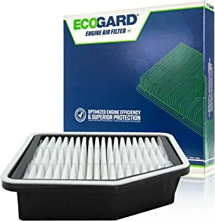 ECOGARD XA5798 Premium Engine Air Filter Fits Lexus IS250 2.5L 2006-2015, GS350 3.5L 2007-2011, IS350 2006-2013, GS430 4.3L 2006-2007