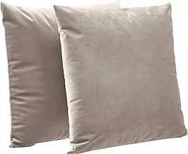 Amazon Basics 2-Pack Velvet Fleece Decorative Throw Pillows - 18