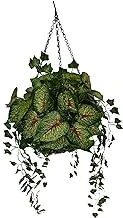 Hanging Basket arrangement with ivy leaf and greenery plant for Home Indoor Outdoor Decor Wedding Garden