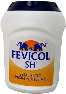 Fevicol Synthetic Resin Adhesive 125G