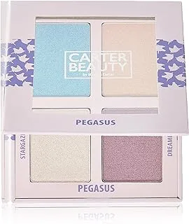 Carter Beauty, Ireland. Highlighter MakEUp Palette.Use As Powder Blush, Bronzer, Eyeshadow. Pigmented. Face & Body -Pegasus