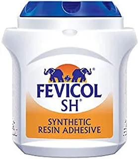 Fevicol Glue Synthetic Resin Adhesive 500Gm