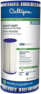 Culligan R50-BBSA 5 Micro 10