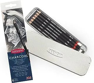 Derwent Charcoal Pencils, Metal Tin, 6 Count (0700838), Black/White