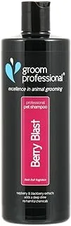 Groom Professsional Berry Blast Shampoo 450 ml, Multicolor, ml (Pack of 1)