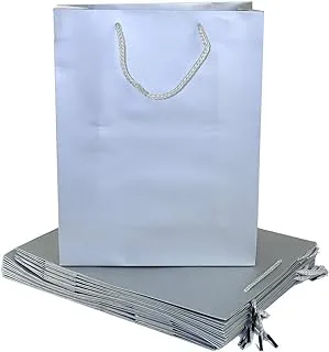 KASTWAVE Rosymoment Party Paper Gift Bag, Silver, YB-7, 12 Pieces