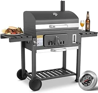 TLSUNNY Charcoal Barbecue with Lid, Large Size Charcoal Barbecue with Fireplace, Charcoal Barbecue on Stand, Stainless Steel, 152 x 136 x 60 cm