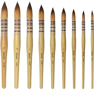 Biaelk 16RT 9PCS Full Set Taklon Hair Wooden Handle Watercolor & Acrylic Paint Brushes Round Pointed Tip Paint Brushes Set, Size #1#2#3#4#5#6#8#10#12 Drawing Art Supplies for Artist