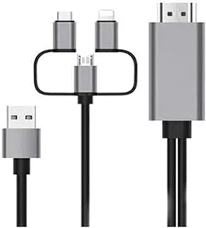 3 – In - 1 HDMI Adapter Cable