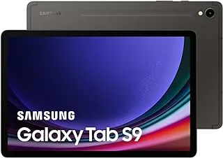 Samsung Galaxy Tab S9 5G, AI Tablet, 8GB RAM, 128GB Storgae, Gray (UAE Version)